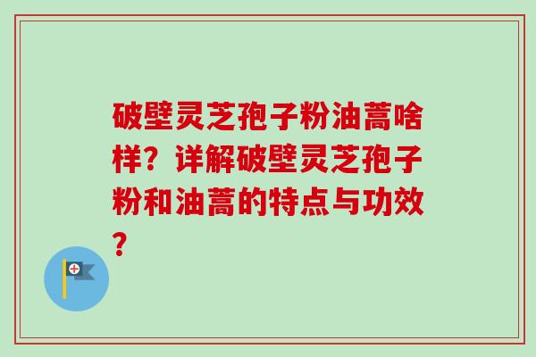破壁灵芝孢子粉油蒿啥样？详解破壁灵芝孢子粉和油蒿的特点与功效？