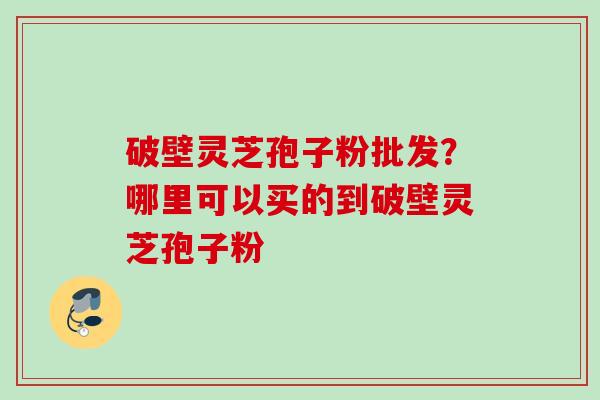破壁灵芝孢子粉批发？哪里可以买的到破壁灵芝孢子粉