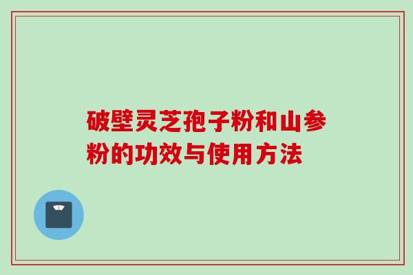 破壁灵芝孢子粉和山参粉的功效与使用方法