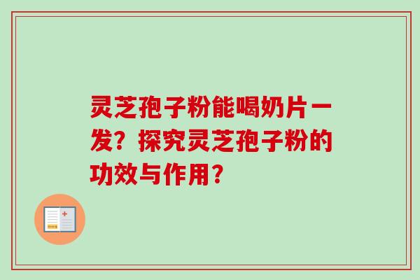 灵芝孢子粉能喝奶片一发？探究灵芝孢子粉的功效与作用？