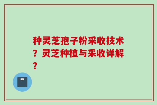 种灵芝孢子粉采收技术？灵芝种植与采收详解？