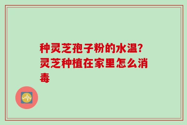 种灵芝孢子粉的水温？灵芝种植在家里怎么消毒