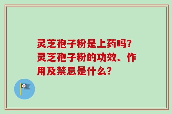 灵芝孢子粉是上药吗？灵芝孢子粉的功效、作用及禁忌是什么？