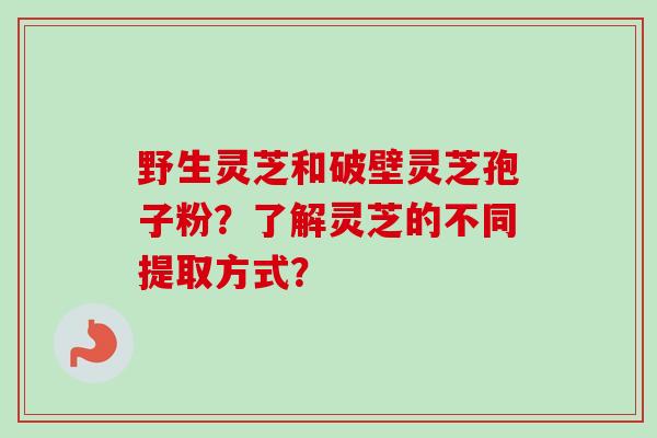 野生灵芝和破壁灵芝孢子粉？了解灵芝的不同提取方式？