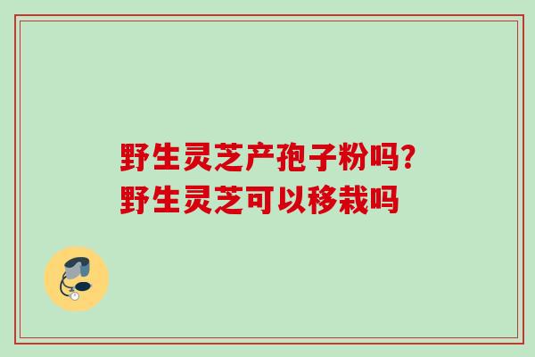 野生灵芝产孢子粉吗？野生灵芝可以移栽吗
