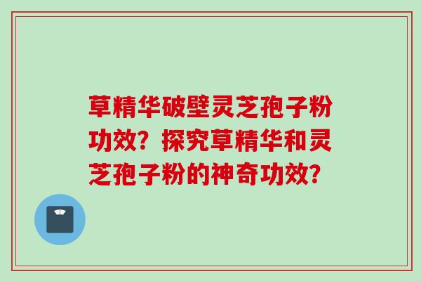 草精华破壁灵芝孢子粉功效？探究草精华和灵芝孢子粉的神奇功效？