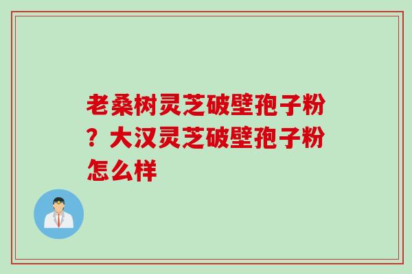 老桑树灵芝破壁孢子粉？大汉灵芝破壁孢子粉怎么样