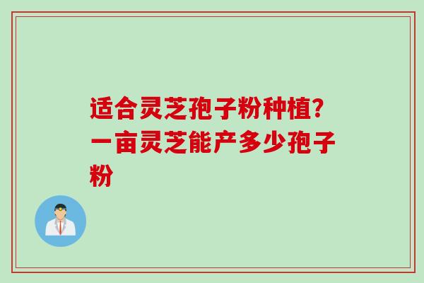 适合灵芝孢子粉种植？一亩灵芝能产多少孢子粉