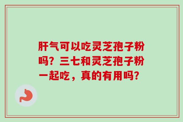 肝气可以吃灵芝孢子粉吗？三七和灵芝孢子粉一起吃，真的有用吗？