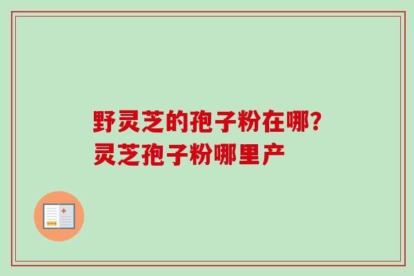 野灵芝的孢子粉在哪？灵芝孢子粉哪里产
