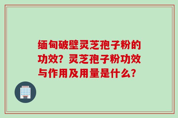 缅甸破壁灵芝孢子粉的功效？灵芝孢子粉功效与作用及用量是什么？