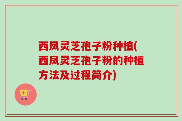 西凤灵芝孢子粉种植(西凤灵芝孢子粉的种植方法及过程简介) 西凤灵芝孢子粉种植(西凤灵芝孢子粉的种植方法及过程简介)