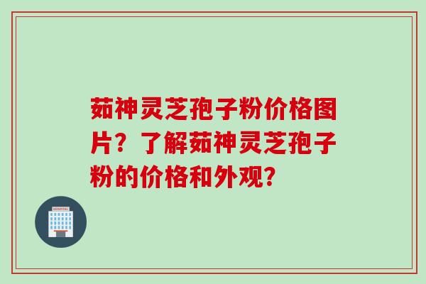 茹神灵芝孢子粉价格图片？了解茹神灵芝孢子粉的价格和外观？