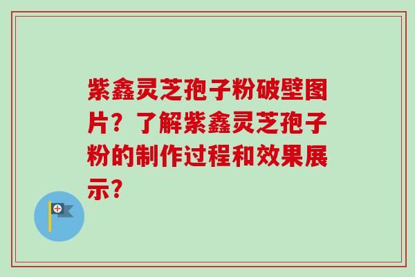 紫鑫灵芝孢子粉破壁图片？了解紫鑫灵芝孢子粉的制作过程和效果展示？