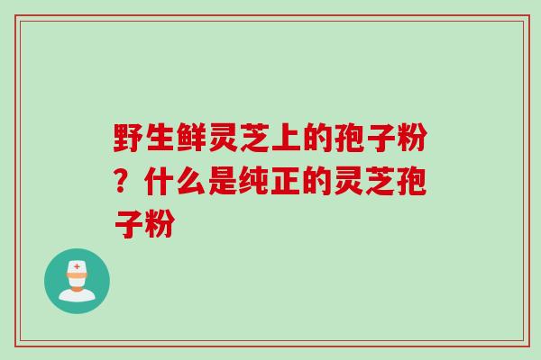 野生鲜灵芝上的孢子粉？什么是纯正的灵芝孢子粉