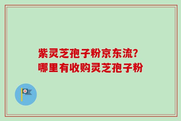 紫灵芝孢子粉京东流?哪里有收购灵芝孢子粉 紫灵芝孢子粉京东流?哪里有收购灵芝孢子粉