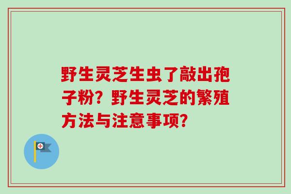 野生灵芝生虫了敲出孢子粉？野生灵芝的繁殖方法与注意事项？