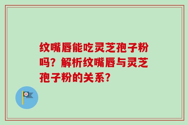 纹嘴唇能吃灵芝孢子粉吗？解析纹嘴唇与灵芝孢子粉的关系？