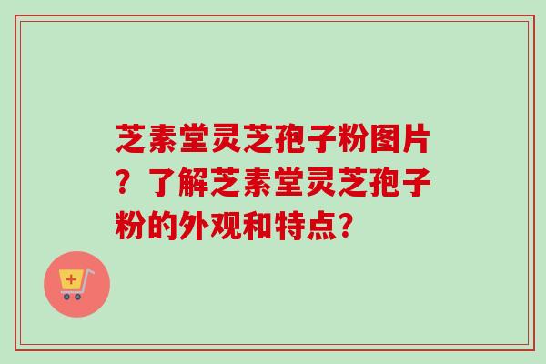 芝素堂灵芝孢子粉图片?了解芝素堂灵芝孢子粉的外观和特点? 芝素堂灵芝孢子粉图片?了解芝素堂灵芝孢子粉的外观和特点?