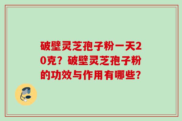 破壁灵芝孢子粉一天20克？破壁灵芝孢子粉的功效与作用有哪些？