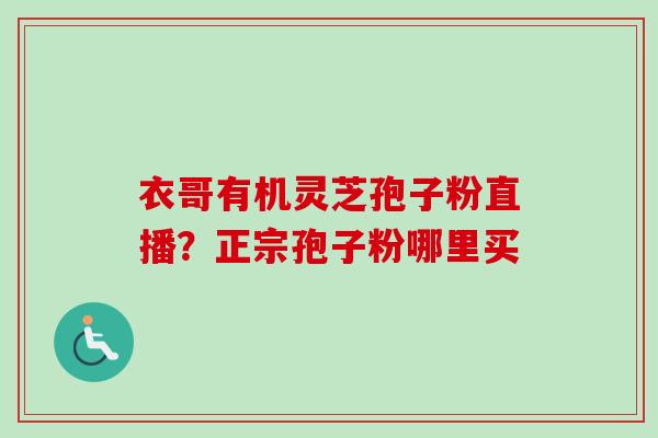 衣哥有机灵芝孢子粉直播?正宗孢子粉哪里买 衣哥有机灵芝孢子粉直播?正宗孢子粉哪里买