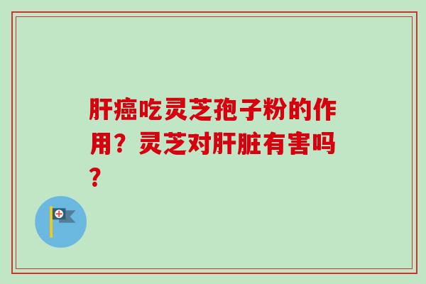 肝癌吃灵芝孢子粉的作用？灵芝对肝脏有害吗？