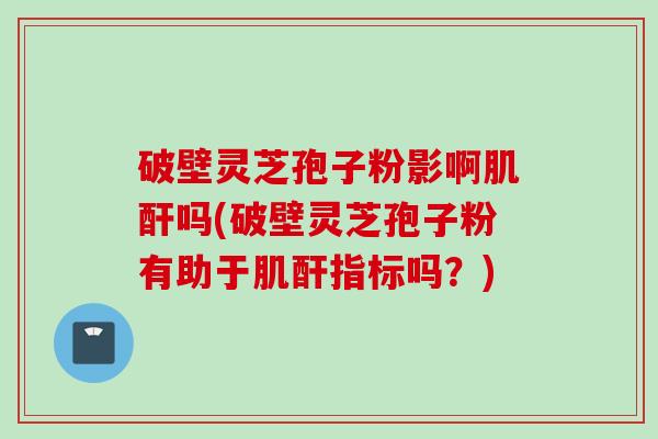 破壁灵芝孢子粉影啊肌酐吗(破壁灵芝孢子粉有助于肌酐指标吗？)