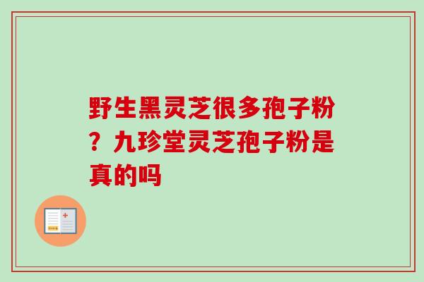 野生黑灵芝很多孢子粉？九珍堂灵芝孢子粉是真的吗