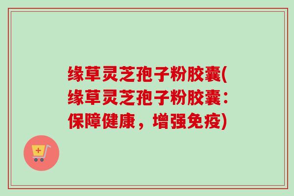 缘草灵芝孢子粉胶囊(缘草灵芝孢子粉胶囊：保障健康，增强免疫)