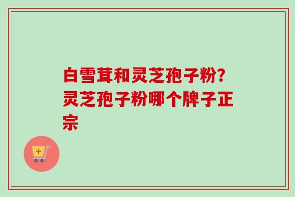白雪茸和灵芝孢子粉?灵芝孢子粉哪个牌子正宗 白雪茸和灵芝孢子粉?灵芝孢子粉哪个牌子正宗