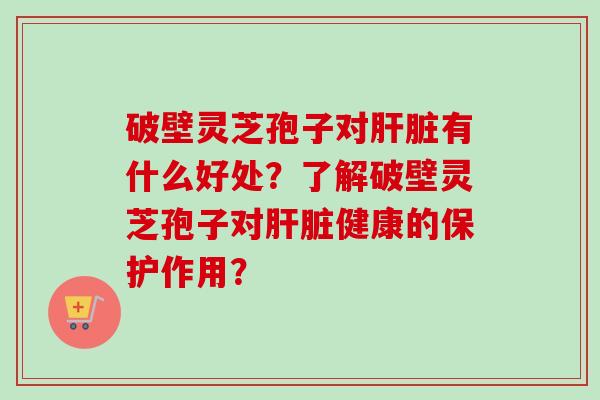 破壁灵芝孢子对肝脏有什么好处？了解破壁灵芝孢子对肝脏健康的保护作用？