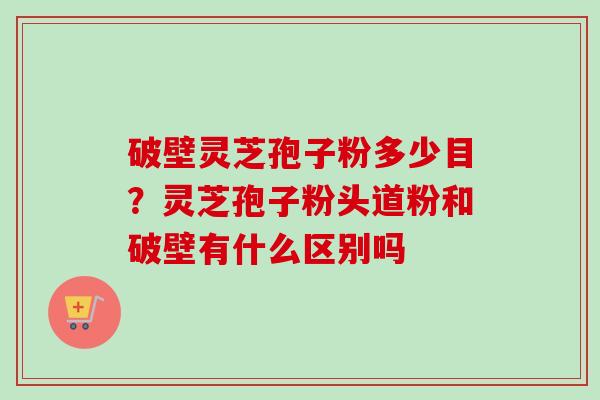 破壁灵芝孢子粉多少目？灵芝孢子粉头道粉和破壁有什么区别吗