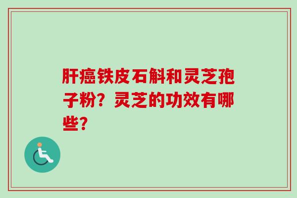 铁皮石斛和灵芝孢子粉?灵芝的功效有哪些? 铁皮石斛和灵芝孢子粉?灵芝的功效有哪些?