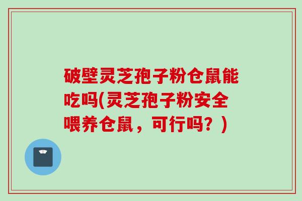 破壁灵芝孢子粉仓鼠能吃吗(灵芝孢子粉安全喂养仓鼠，可行吗？)