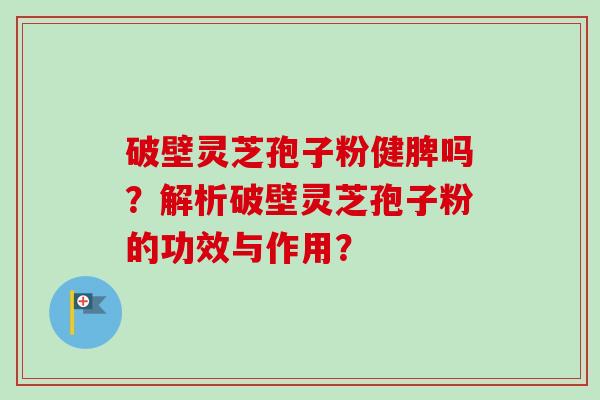 破壁灵芝孢子粉健脾吗？解析破壁灵芝孢子粉的功效与作用？