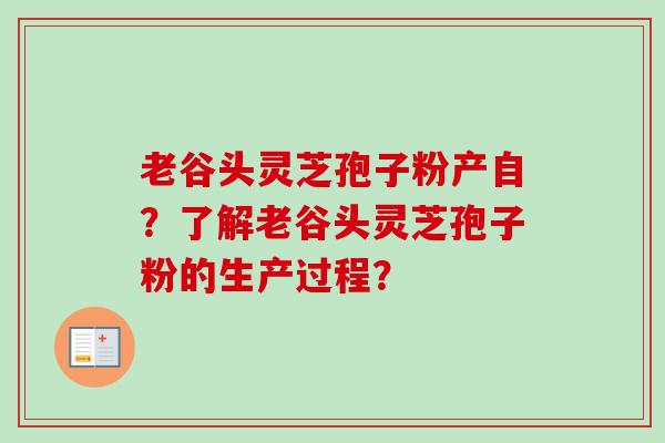 老谷头灵芝孢子粉产自？了解老谷头灵芝孢子粉的生产过程？