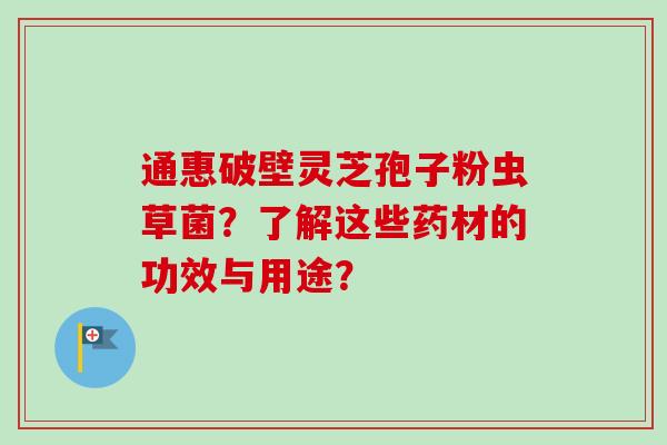 通惠破壁灵芝孢子粉虫草菌？了解这些药材的功效与用途？