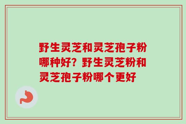 野生灵芝和灵芝孢子粉哪种好？野生灵芝粉和灵芝孢子粉哪个更好