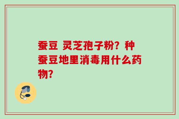 蚕豆 灵芝孢子粉？种蚕豆地里消毒用什么？