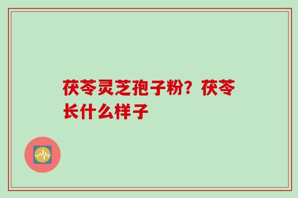 茯苓灵芝孢子粉？茯苓长什么样子