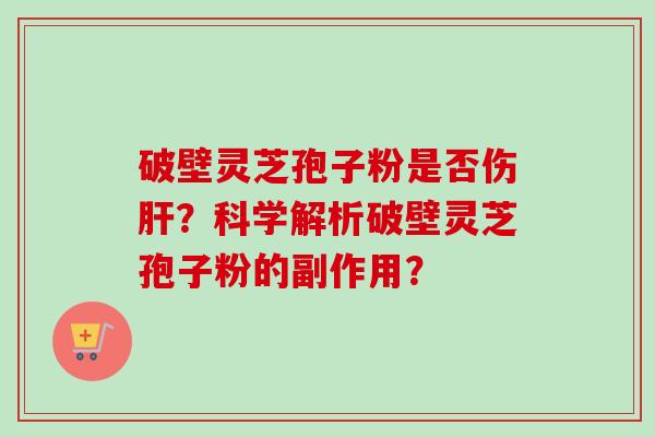 破壁灵芝孢子粉是否伤肝？科学解析破壁灵芝孢子粉的副作用？