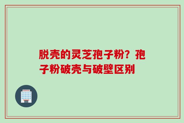 脱壳的灵芝孢子粉？孢子粉破壳与破壁区别