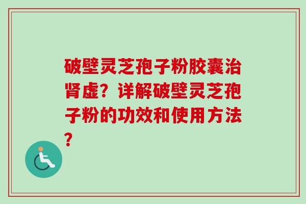 破壁灵芝孢子粉胶囊治肾虚？详解破壁灵芝孢子粉的功效和使用方法？