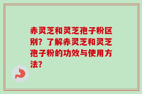 赤灵芝和灵芝孢子粉区别?了解赤灵芝和灵芝孢子粉的功效与使用方法? 赤灵芝和灵芝孢子粉区别?了解赤灵芝和灵芝孢子粉的功效与使用方法?