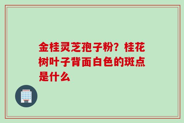 金桂灵芝孢子粉？桂花树叶子背面白色的斑点是什么