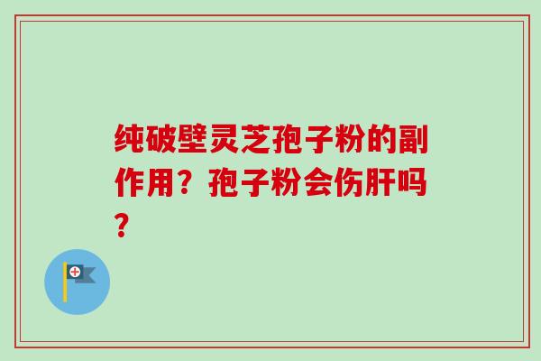 纯破壁灵芝孢子粉的副作用？孢子粉会伤肝吗？