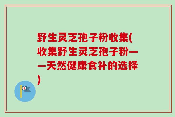 野生灵芝孢子粉收集(收集野生灵芝孢子粉——天然健康食补的选择)