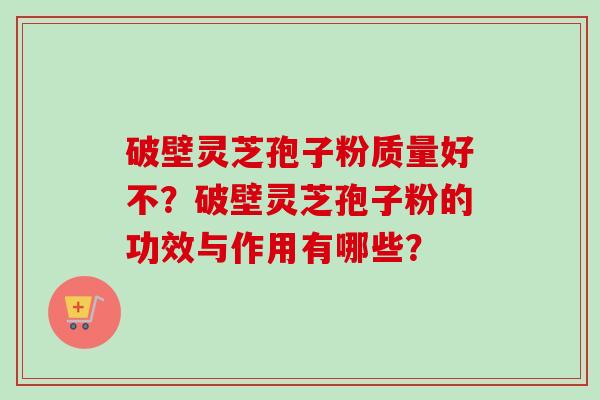 破壁灵芝孢子粉质量好不？破壁灵芝孢子粉的功效与作用有哪些？