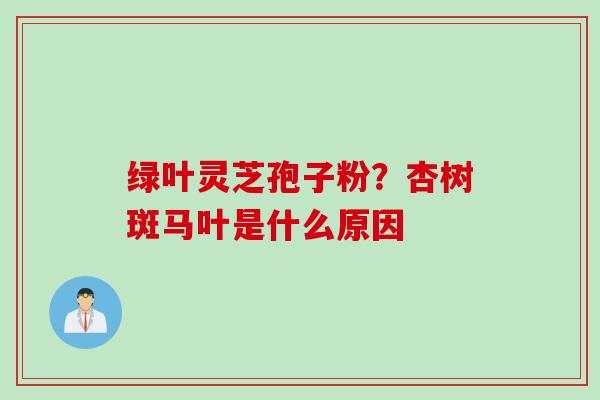 绿叶灵芝孢子粉？杏树斑马叶是什么原因