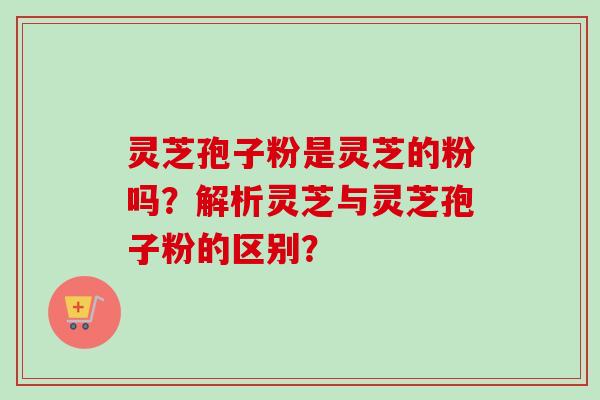 灵芝孢子粉是灵芝的粉吗？解析灵芝与灵芝孢子粉的区别？